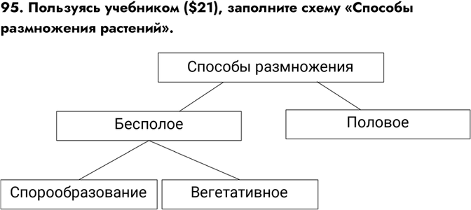 Изображение Задание 95 ГДЗ Рабочая тетрадь Пасечник 6 класс